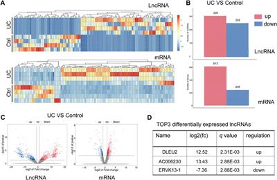 Identification of lncRNA DLEU2 as a potential diagnostic biomarker and anti-inflammatory target for ulcerative colitis